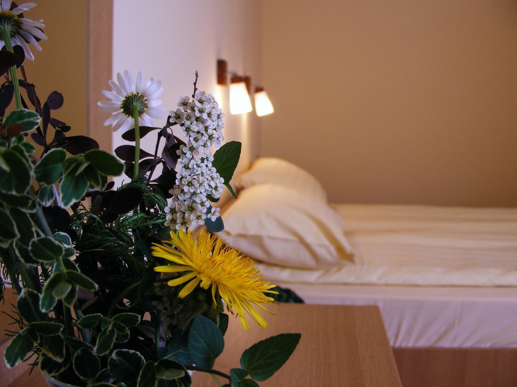 Motel Vector Gaesti Room photo