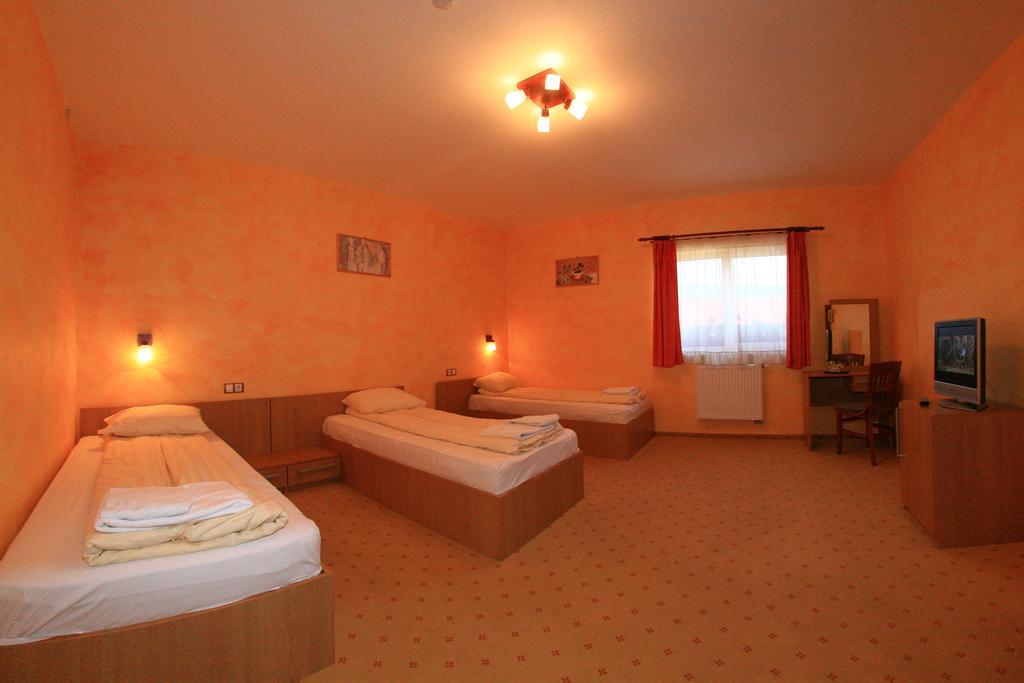 Motel Vector Gaesti Room photo